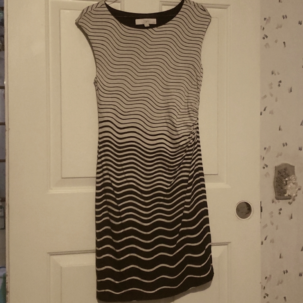Loft black and white dress